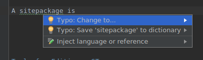 ../_images/phpstorm-add-to-dictionary.png